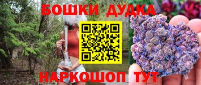 тгк Новодвинск