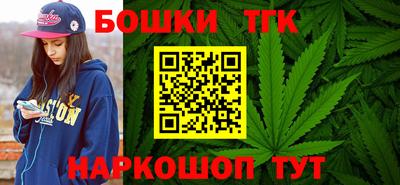 тгк Новодвинск