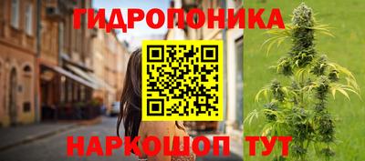 твердый Новокубанск