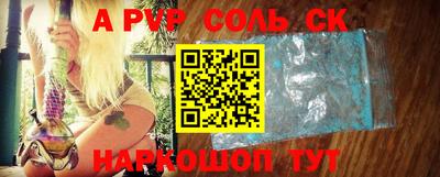 тгк Новодвинск